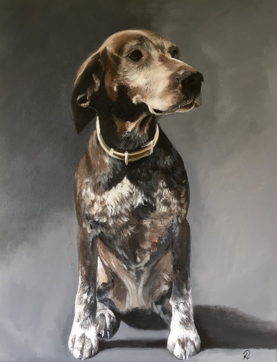 In memory of our lovely dog Sasha in her younger years when she was a little less grey! 😍🐶 #dogsofinstagram  #getmanshorthairedpointer #gsp #oiloncanvas #art #instaart #animalportrait #dogportrait #portraitartist #artistsoninstagram #oilpainting