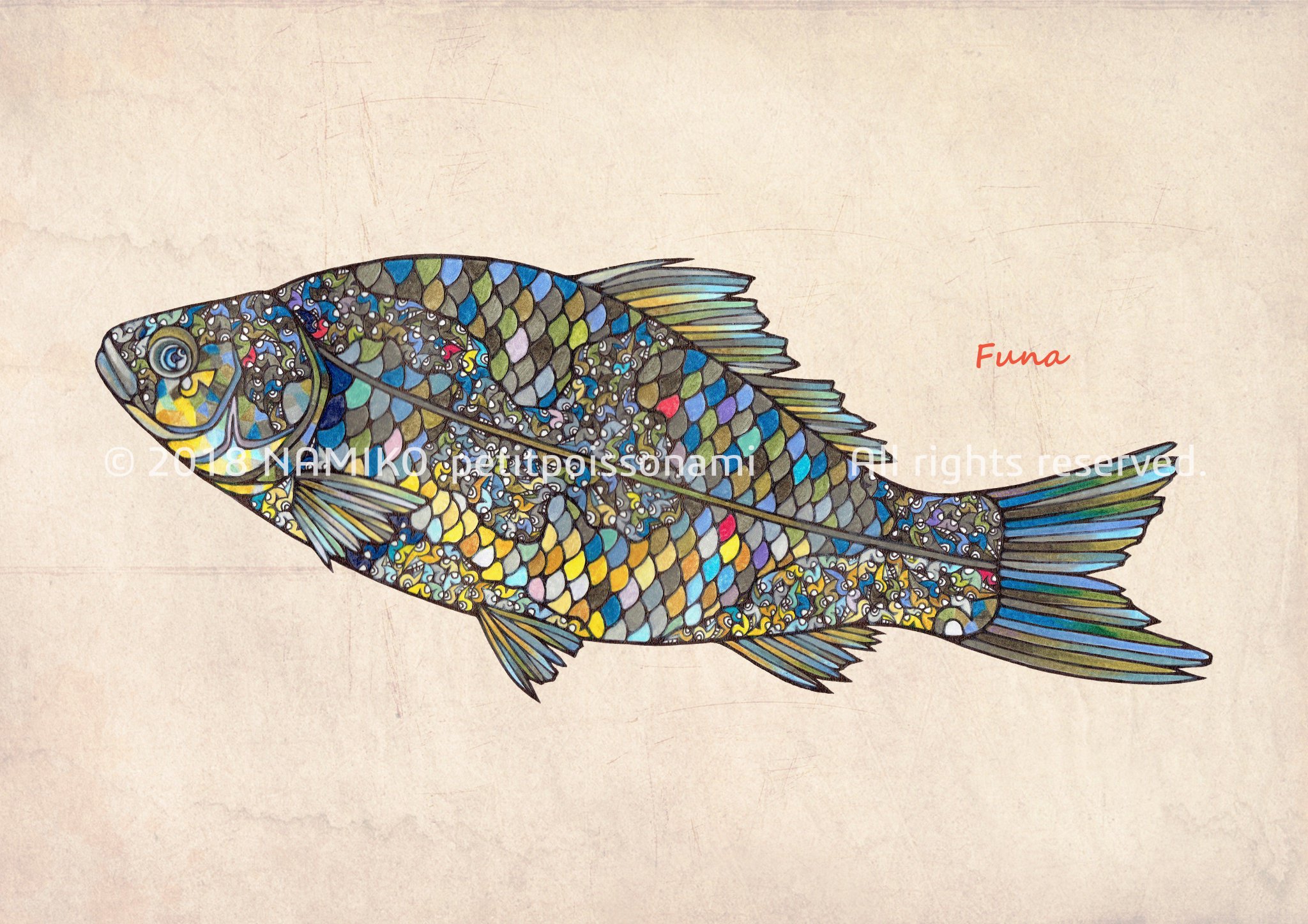 Namiko Pa Twitter イラスト図鑑 フナ File138 イラスト 魚 フナ