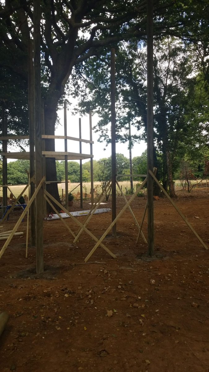 Mr Treehouse tweet media