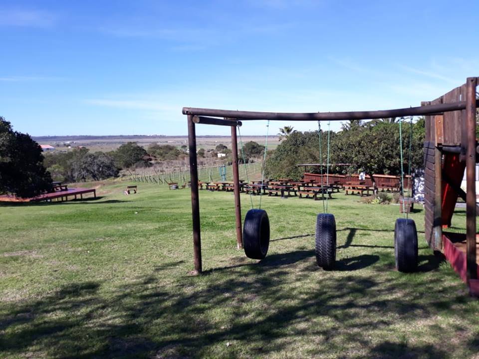 GetMe2MosselBay's tweet photo. Bring the family over to @reedvalley for a fun day.
Wine tasting for the parentsโ๏ธ
Play Area for the kiddiesโ๏ธ
There's always something you can do.
#reedvalley #MosselBay #mosselbaai #herbetsdale #visitmosselbay #family #friends #funday #wine https://t.co/OZJodKiQkm