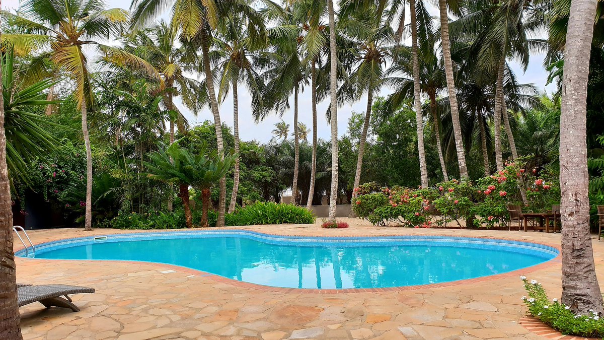 GloriaBuckman's tweet photo. The view from my office window this week...🤩 
_
#WeddingsInGhana #PlanItEvents https://t.co/U1yZekpzUT