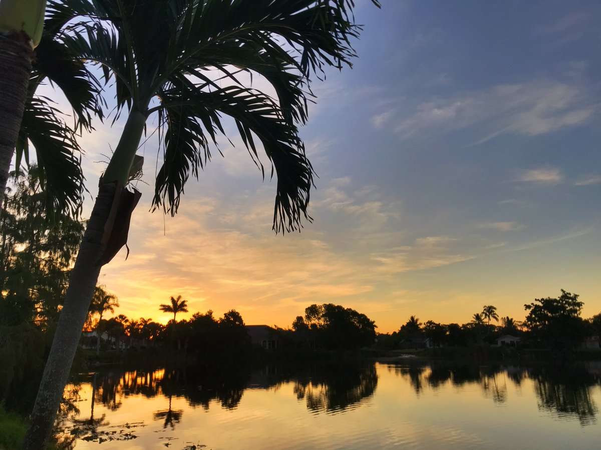 RelaxPlayNaples's tweet photo. Tuesday morning in Naples! 🌞#naplesfl #sunrise #tuesday #relaxplaynaples https://t.co/Zewtr4t2qf