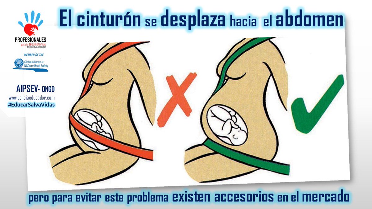 La banda pélvica del cinturón de seguridad es la primera parte del  sistema de seguridad del coche que se activa al frenar, ya que es el  elemento que evita que el cuerpo salga despedido del coche.
 #EducarSalvaVidas 
<a href="/RoadSafetyNGOs/">Road Safety Alliance</a> <a href="/Simumak/">Simumak</a> <a href="/FESVIAL/">FESVIAL</a> @oconnorshane <a href="/Ponle_Freno/">Ponle Freno</a>