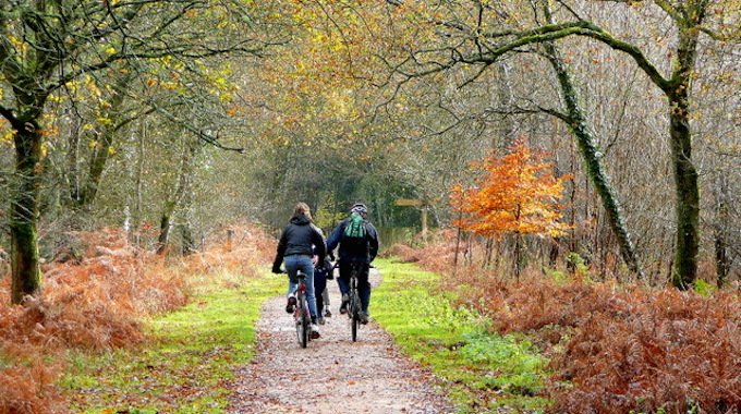 cycleschemeltd's tweet image. 8 Awesome Autumn Cycling Tips for Commuters: Get ready for autumn commuting with these handy cycling tips.
ow.ly/j4WS50ieU8M