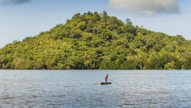 Media_Tree's tweet image. By working to stop deforestation with @CoolEarth, we’re making a difference, time and again. Protecting habitat, supporting rainforest communities and halting the release of carbon, we’re proud to have a positive impact on the world #carbonmitigation #wethinkahead