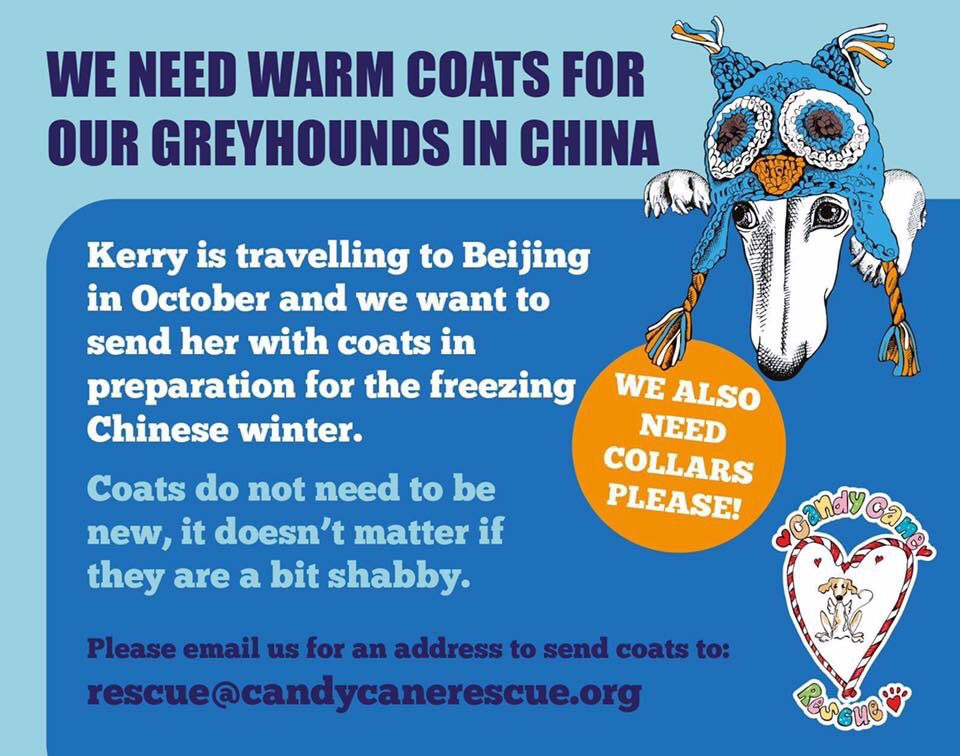 Candy Cane Rescue on Twitter "If anyone has any coats or jumpers that