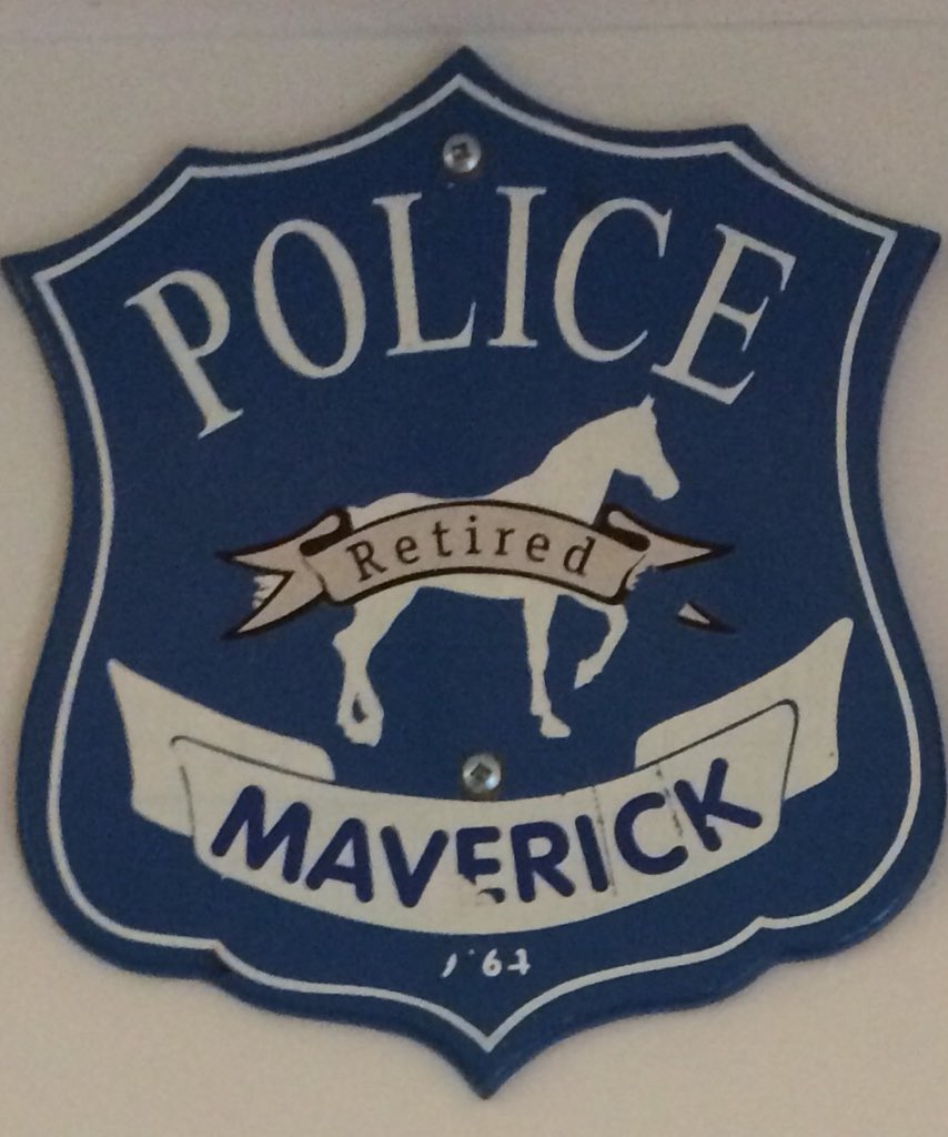 VPD Mounted Unit on Twitter "VPDHorses want to Thank and Remember PH