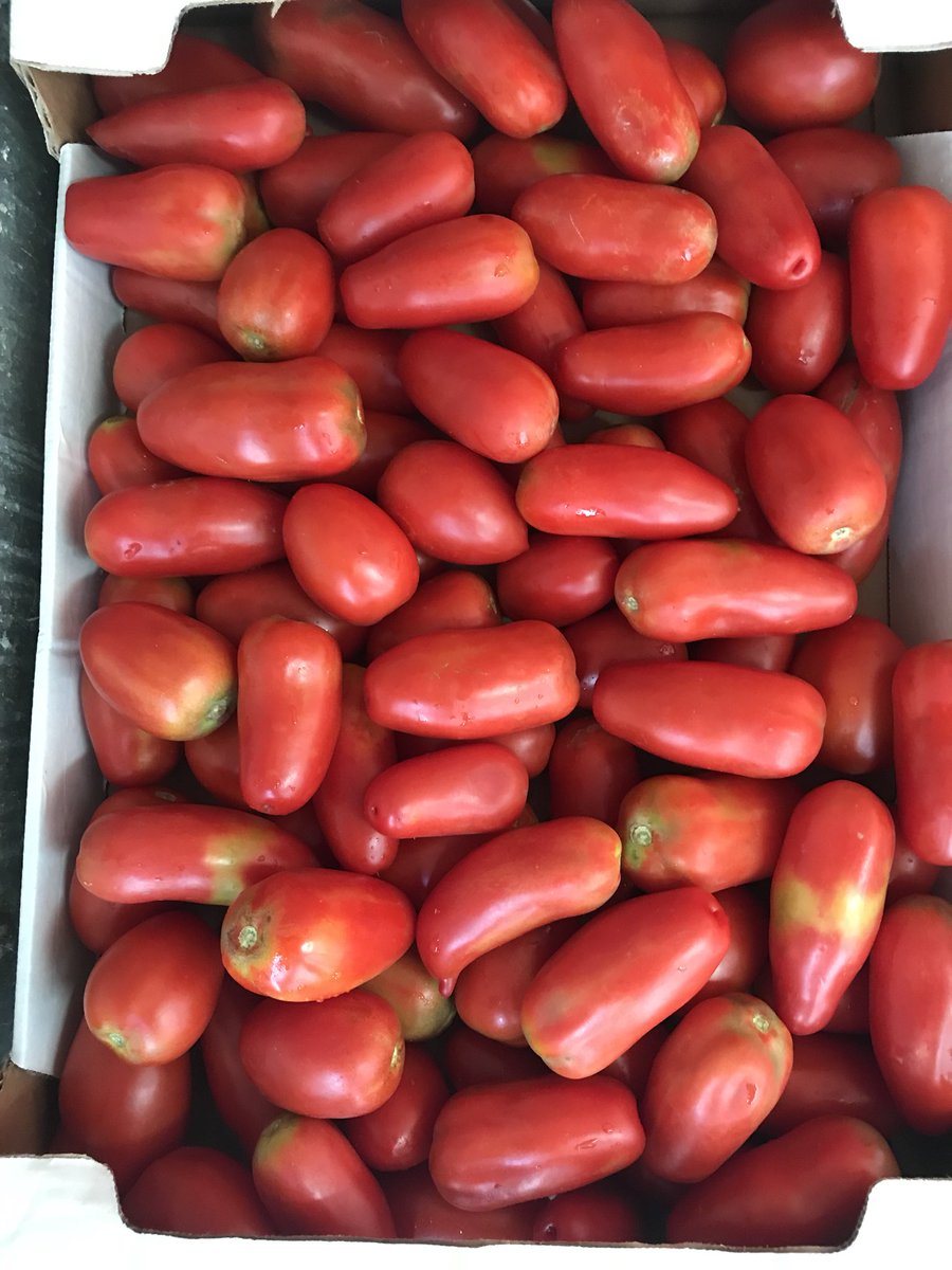 Looking to preserve some summer flavour for fall &amp; winter? We’ve got Roma tomatoes from #PristineFoods at a great price all month.