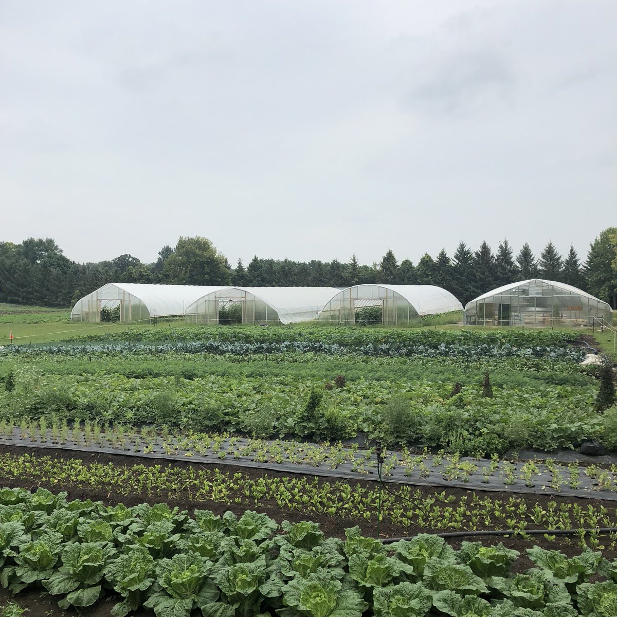 linz_aij's tweet photo. Such a beautiful garden at Wozupi! #mfanbustrip https://t.co/Hs1wRdduJG