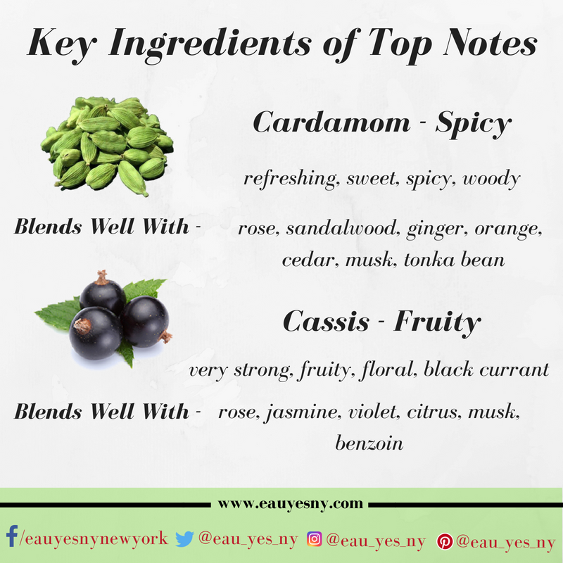 eau_yes_ny's tweet image. #perfumes #topnotes
bit.ly/2BvL34H