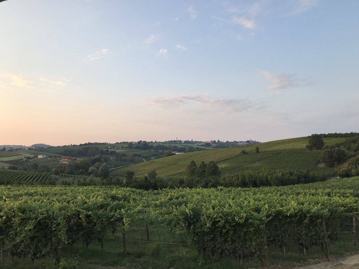 Barolo baby!! <a href="/gdvajra/">gdvajra</a> for harvest 2018. #vendemmia2018