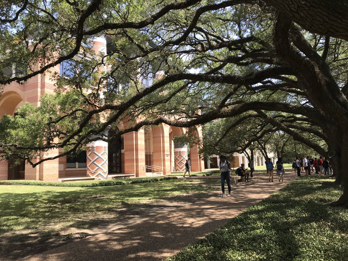 RiceCompSci's tweet photo. Lunch break at Duncan Hall #RiceCS https://t.co/OIJ1PCqcOP