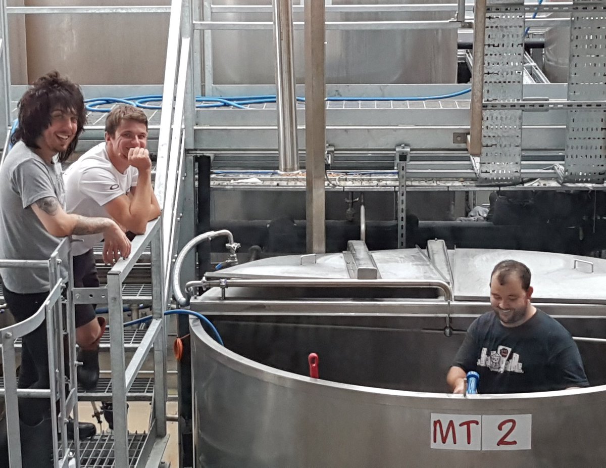 tinyrebelbrewco's tweet photo. @lokapollybeer in da house!

Here they are supervising our Dan scrubbing the mashtuns.

Serious hard work goes into these collabs y'know? https://t.co/o1ElDI6iGA