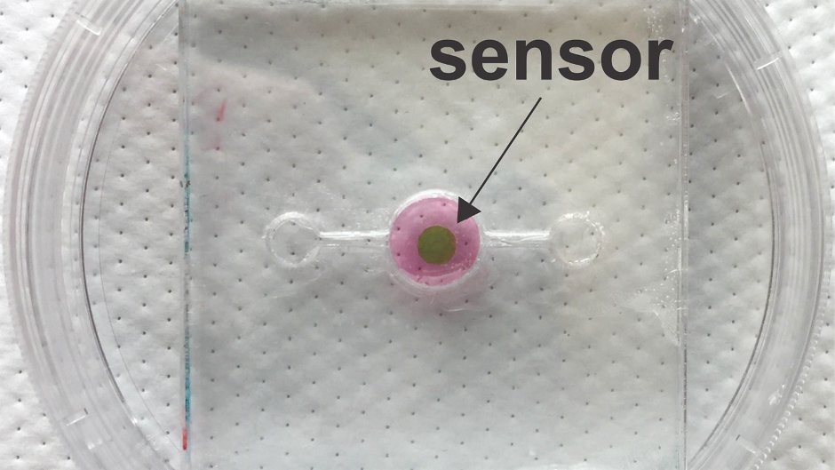 ebook physics of the impossible a scientific exploration into the world of