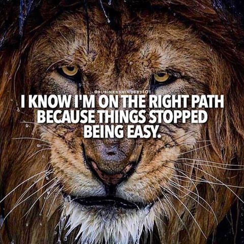 hype_foundation's tweet photo. #TuesdayThought ~ I Know That I'm on The Right Path Because Things Stopped Being Easy! 
#legacychanger https://t.co/iSTWM3poTD