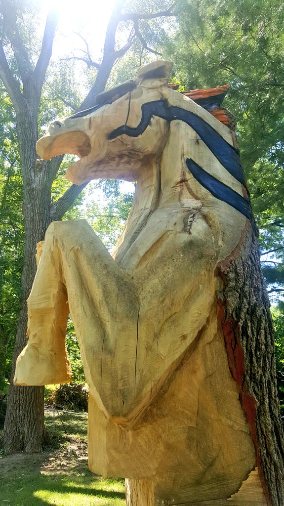 Broncofan7's tweet photo. Thunder in my back yard.😁 https://t.co/SfDLCR182o