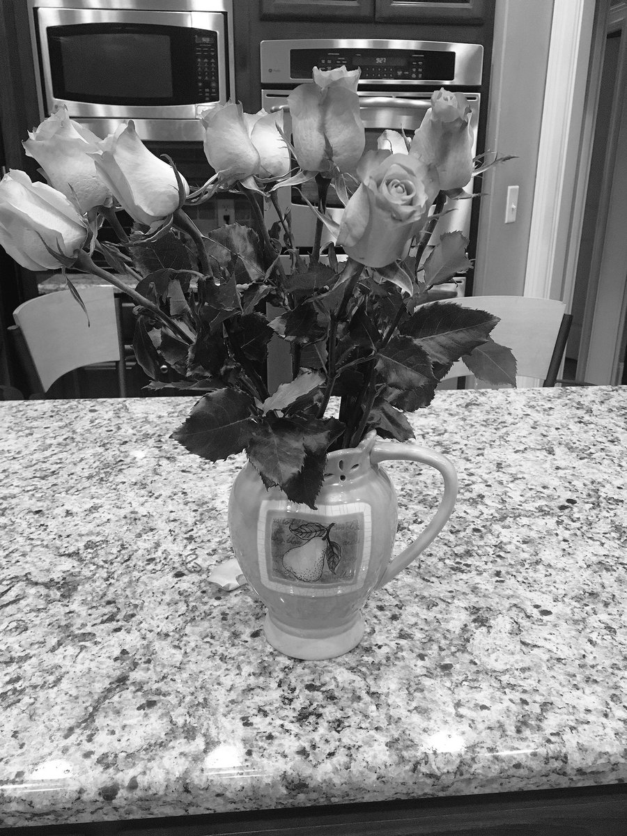 MaiteMandakovic's tweet photo. Day 1 of 7 of “My life in black and white” photos. No humans. No explanation. A new nominee every day. Thank you @AnamoreV for challenging me! Today I challenge @Carlos015Torres https://t.co/HeLsEbaps4