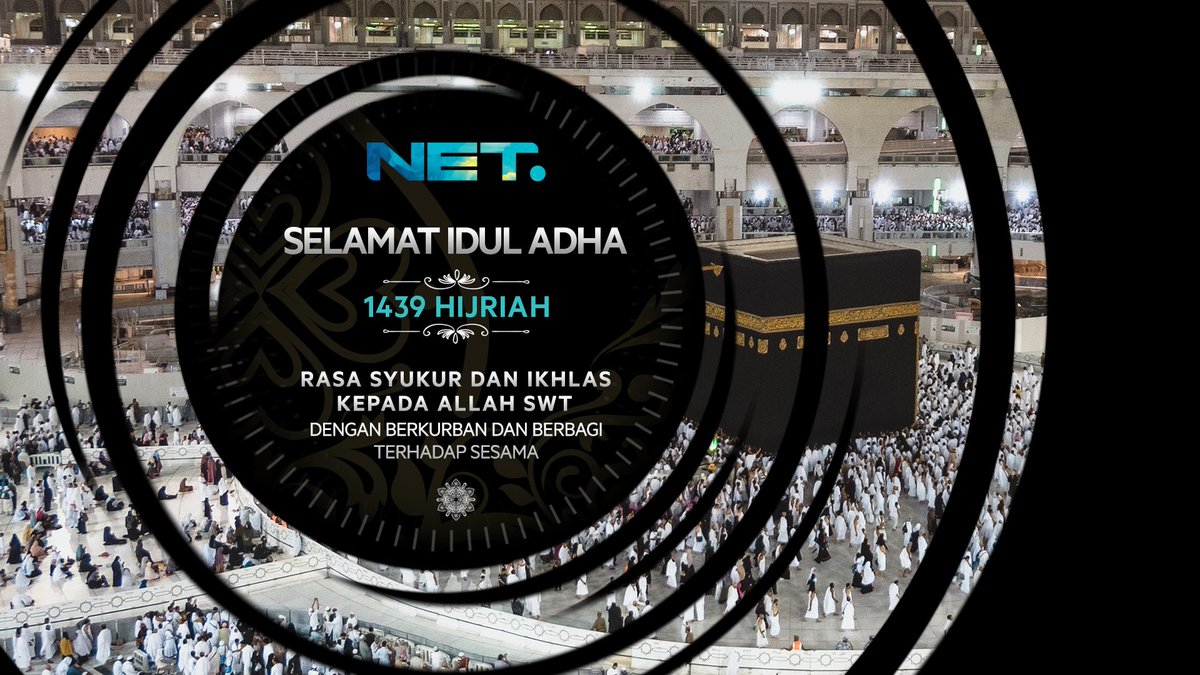 MDTV tweet media