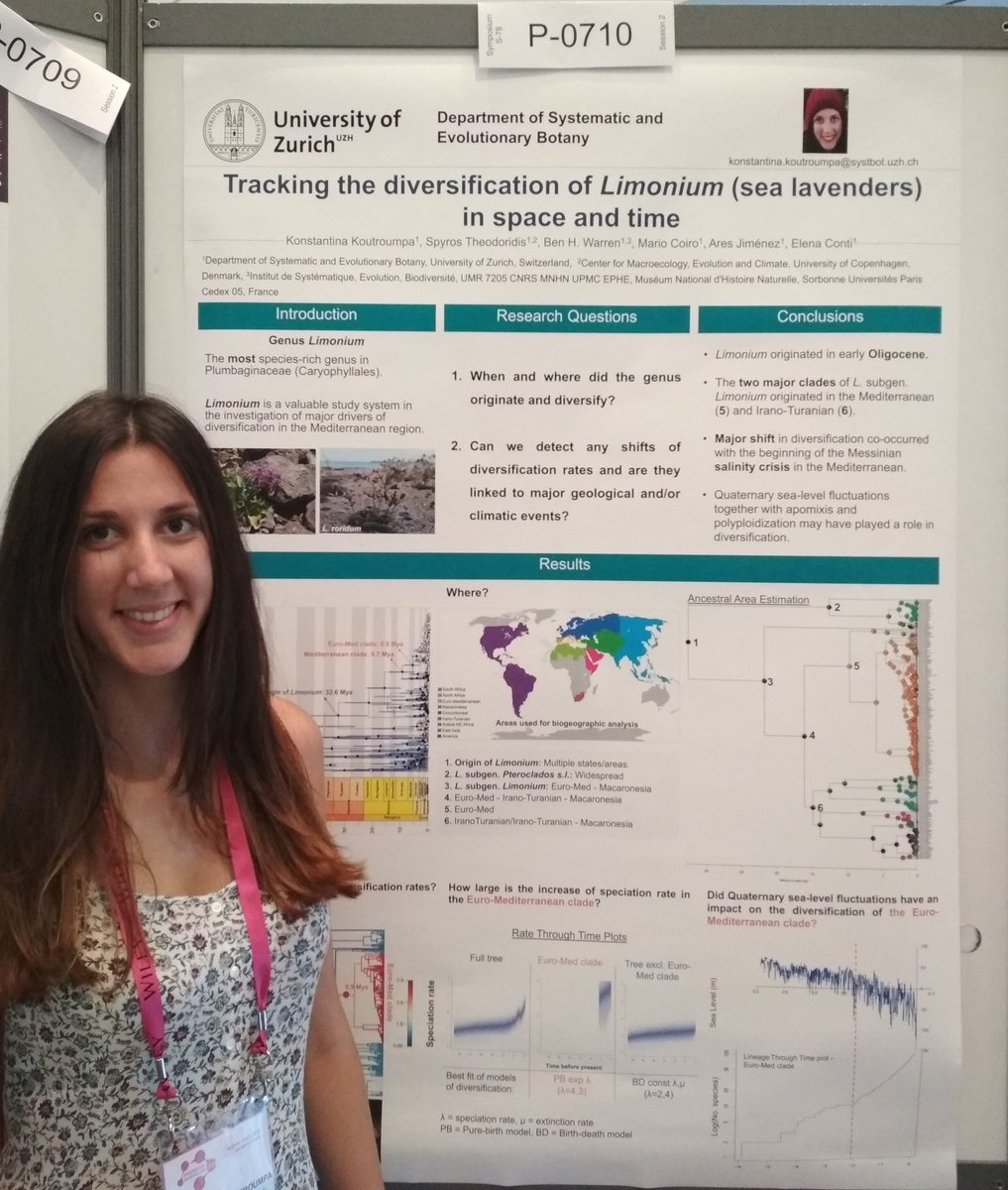 jackpotente's tweet photo. What could have driven the diversification of plants in the Mediterranean basin? Check the case study of sea lavenders by Konstantina Koutroumpa, poster P-0710 (level 0)! #evol2018 https://t.co/gxx4QErchZ