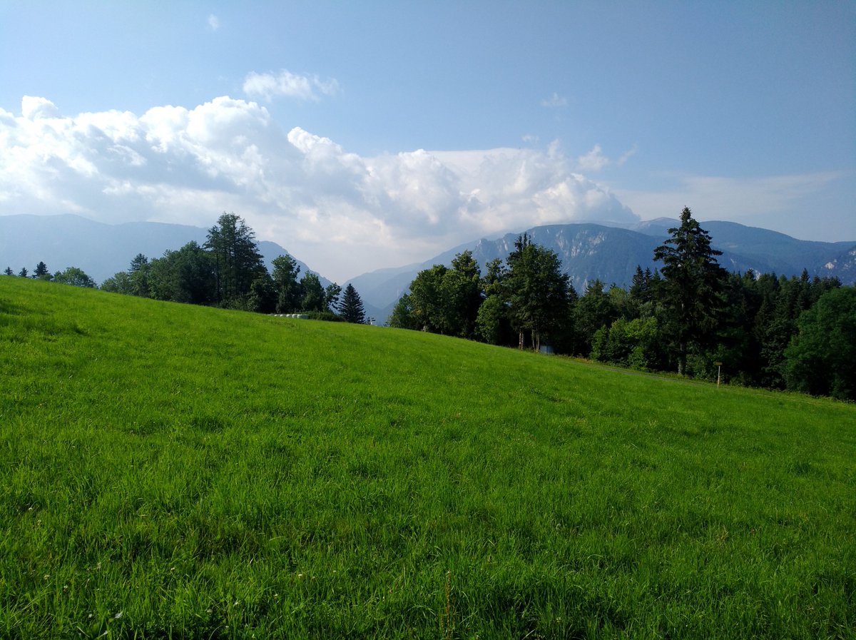FotoQuest_Go's tweet photo. Bist du zurück vom Urlaub und hast die Hitzewelle überstanden? Dann aufgepasst! Wir verlängern unsere Fotoquest Go Kampagne noch bis Ende September! Erkunde deine Umgebung – viele Quests warten noch auf dich!
@mitforschen @_CitizenScience @CSAustria @IIASAVienna @LandSense https://t.co/qyfuCCN7ct