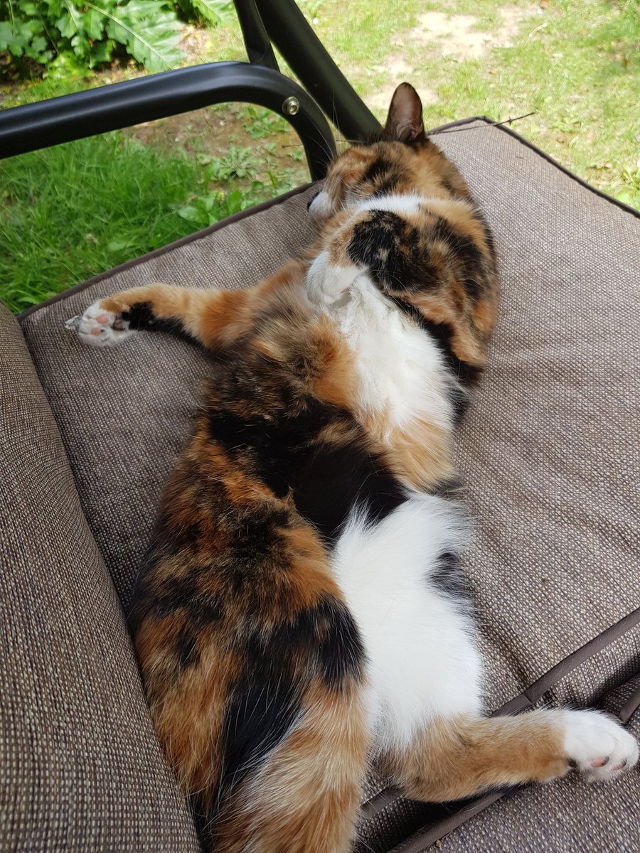 amyrichards40's tweet photo. She always cheers me up when im down https://t.co/PHdxvT2epN