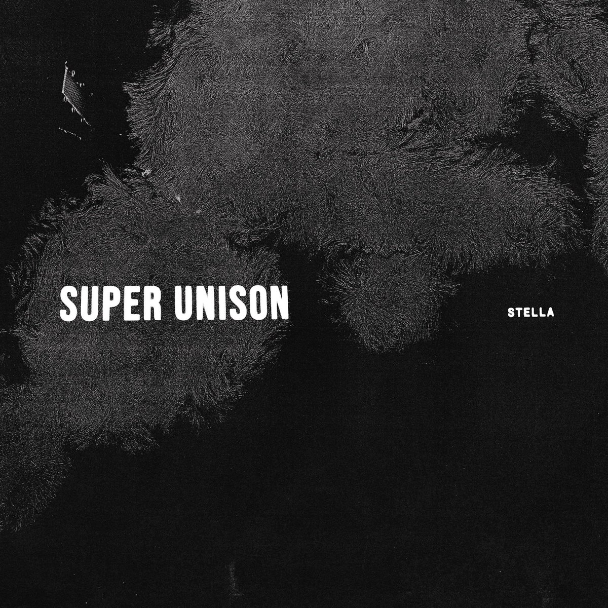 Super Unison tweet media