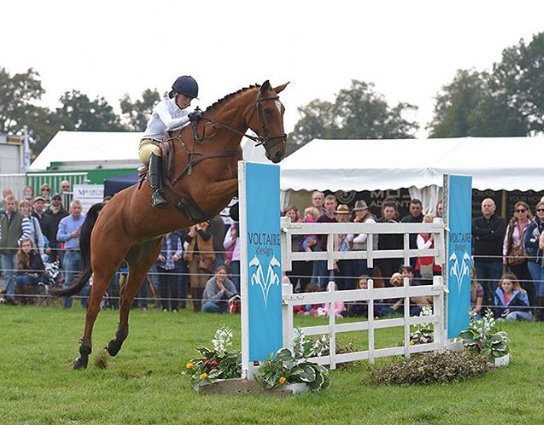 bedeevents's tweet image. You have to be in it...to WIN it
WIN £300 🌟🌟🌟🌟
@nagsessentials Osberton Horse Trials 
1st - £300 2nd - £100 3rd - £100
Enter this week
#gatejumping #osbertonht #equestrian

Here's Ben 2015