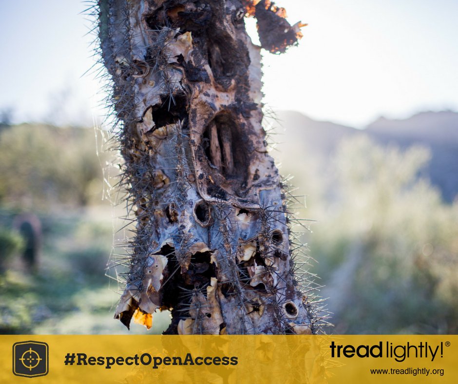 tread_lightly's tweet photo. Shooting buildings, signs, trees and other living objects makes the shooting community look bad and damages resources. Use approved targets and a safe backstop made of dirt with no rocks. #RespectOpenAccess https://t.co/S8NBp4NKBc https://t.co/OQl3NLI7Um