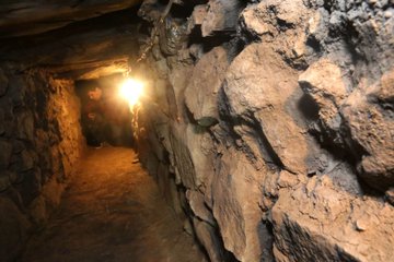 Ver imagen en Twitter