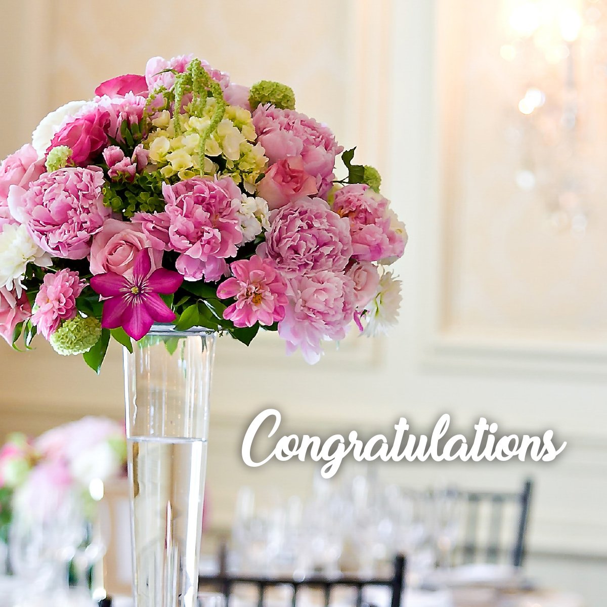 OwenSoundHotel's tweet photo. Congratulation Emma Finkelstein and Michelle Brigler on their Wedding Celebration! https://t.co/qyd6IVI3Os
