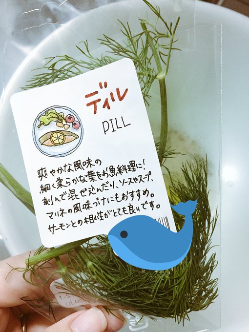 きゅうりのtwitterイラスト検索結果 古い順