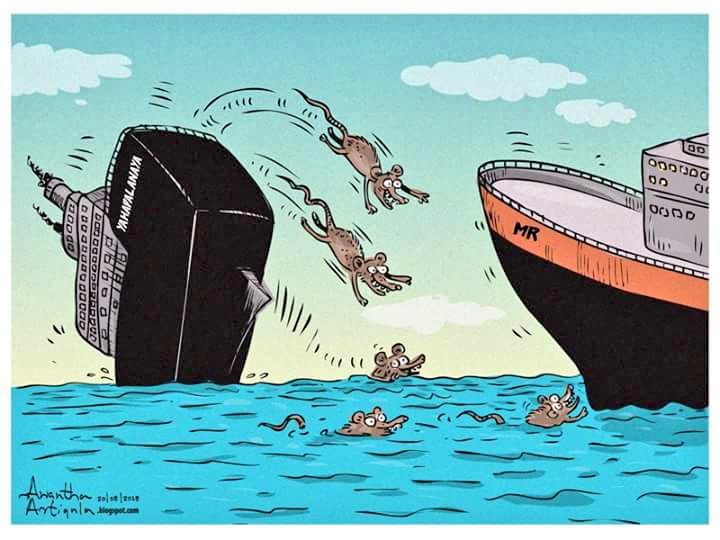 Rats Abandon A Sinking Ship Awanthaartigala Lka