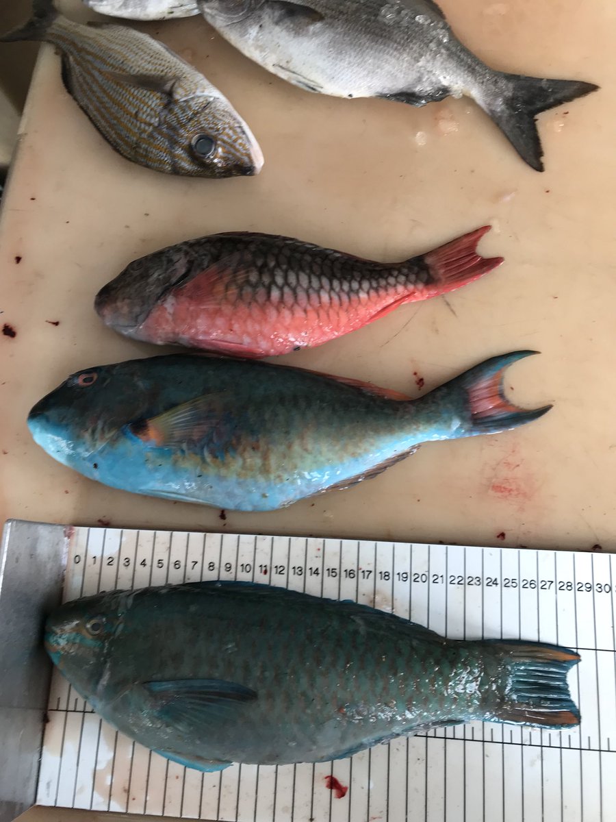 John Pinnegar tweet media