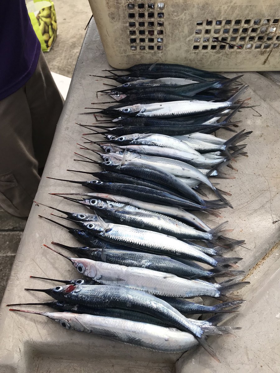 John Pinnegar tweet media