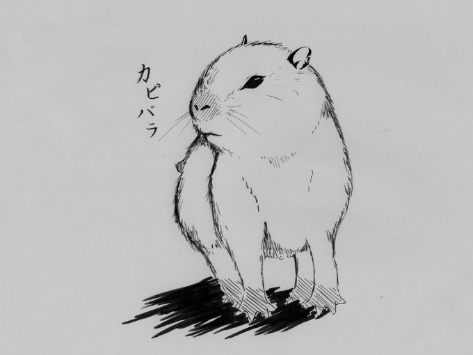 Uトロのカピバラのtwitterイラスト検索結果 古い順 Uトロのカピバラのtwitterイラスト検索結果 古い順