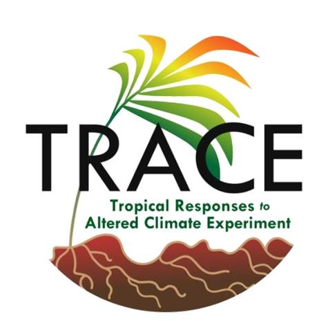 Molly Cavaleri (@mollycavaleri) on Twitter photo I'm looking for an excellent PhD student to work on the responses of tropical plant physiology to warming and hurricanes in Puerto Rico! Full ad: mtu.edu/forest/graduat…
(please RT <a href="/DJPMoore/">Dave Moore</a> <a href="/Eco_Phys/">Phys Ecology ESA</a> @DrJBWest) I'm looking for an excellent PhD student to work on the responses of tropical plant physiology to warming and hurricanes in Puerto Rico! Full ad: mtu.edu/forest/graduat…
(please RT <a href="/DJPMoore/">Dave Moore</a> <a href="/Eco_Phys/">Phys Ecology ESA</a> @DrJBWest)