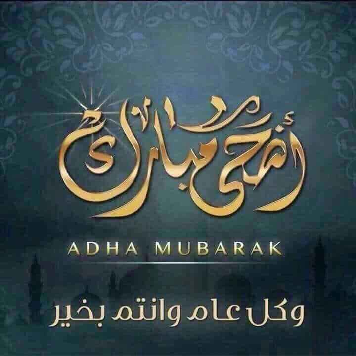 zaidalkanani (@zaidalkanani) on Twitter photo 