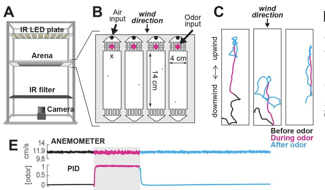 ebook Handbook of Physics