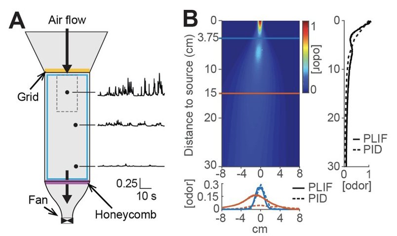 advances in human genetics