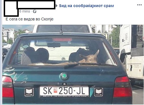 Правопис дечки.
Многу менува надредениот знак меѓу „се видов“ и „сѐ видов“ кога станува збор за добиток во кола.