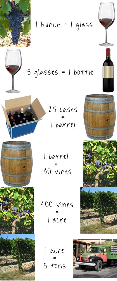 That is a lot of grapes! #winelovers #wine