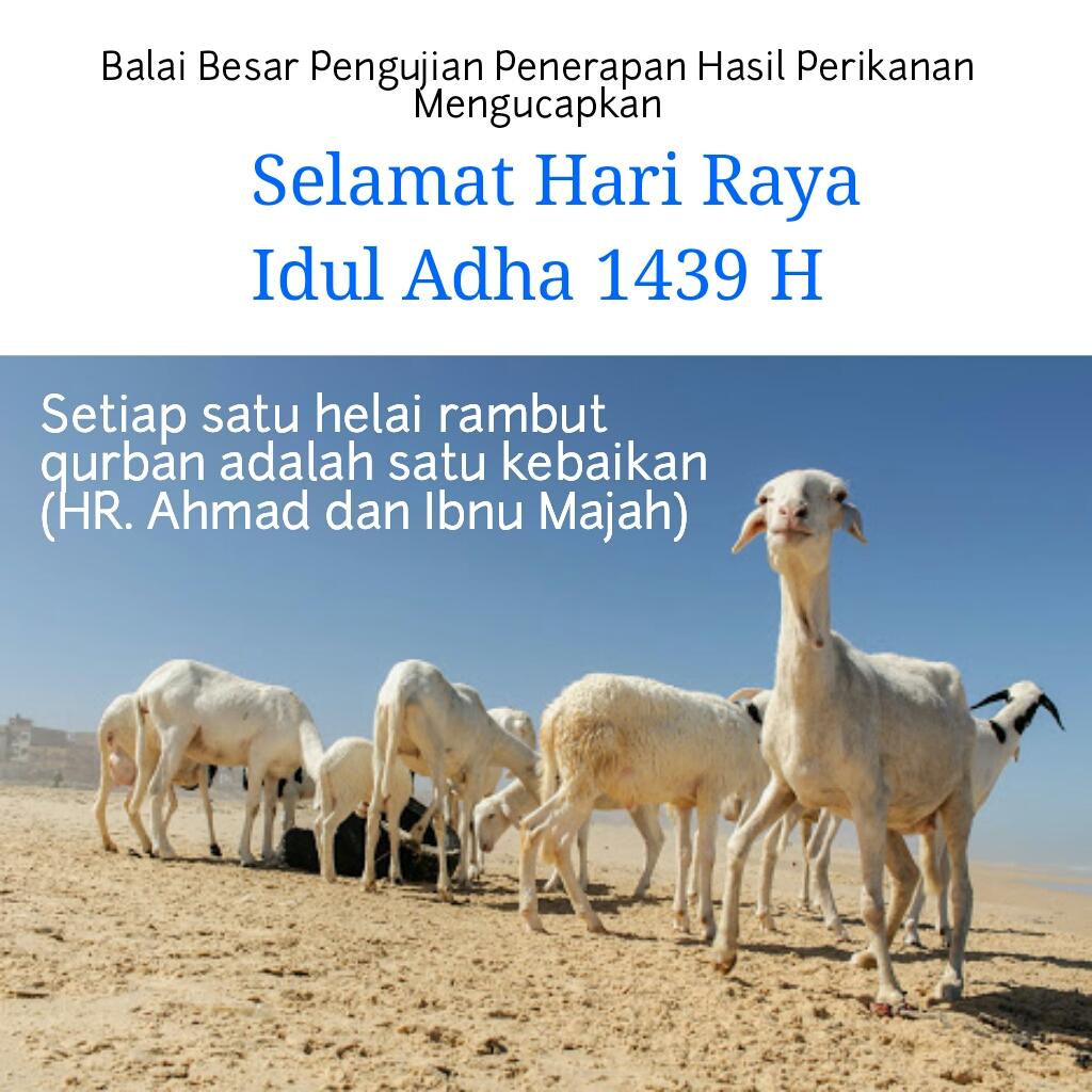 bbp3kp's tweet photo. Bukan kambing atau sapi yang menjadi esensi dari qurban, tetapi tanda tawadhu (kerendahan hati) dan keikhlasan itulah makna qurban yg sebenarnya.
Selamat Hari Raya Idul Adha 1439 H. @Ditjen_PDSPKP @HayatiSamik @RifkyHardijanto https://t.co/awMtrIhzP2