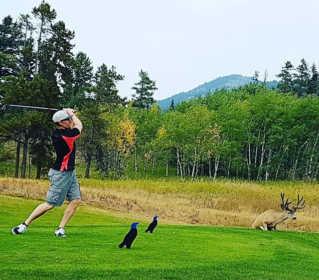 ChadAction's tweet image. Golfing with friends🦌 
#gravesgolfacademy @graves_golf_academy #singleplane #golf #friends #family #makeit