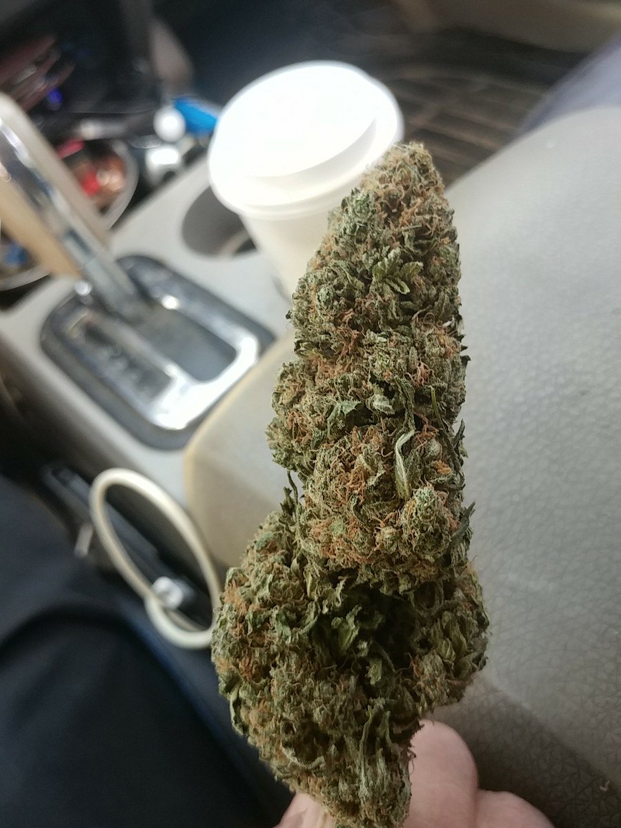 benjamin_esty's tweet image. Noreaster bud today