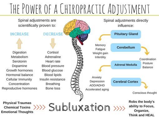 DrJasonWilliams's tweet photo. After an adjustment research shows that the cortisol levels (stress hormone) in your brain are decreased which means that you are better able to handle life's stresses.This leaves you with that happy, relaxed feeling you get after each adjustment. 😀 https://t.co/iJgyQezIXN