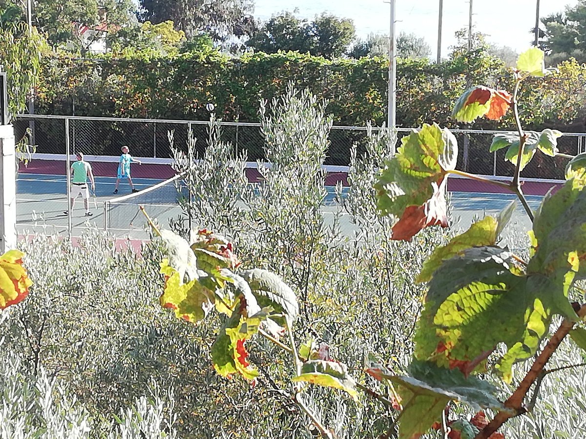 neil rimmer (@neilrimmer1) | Twitter