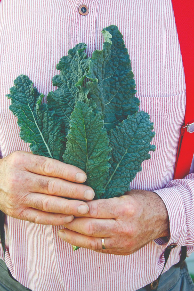 Baker Creek Seeds (rareseeds) Twitter