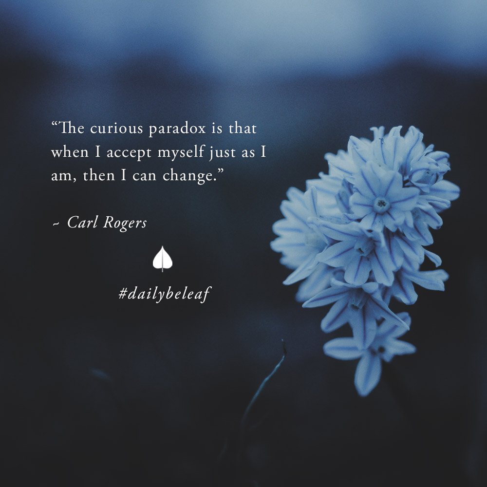 Bodhi Tree tweet media