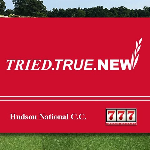 SROgerminati's tweet image. (8 weeks old) 777 creeping bentgrass @HudsonNational a @USGA #top100 course. #triedtruenew
