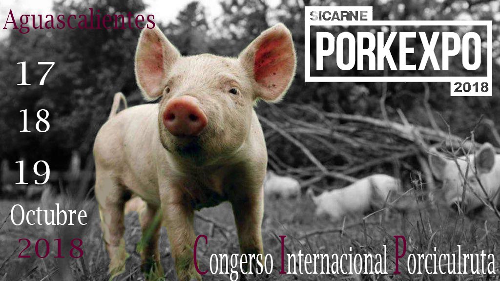 PORK_EXPO's tweet photo. PORKEXPO! aproveche los últimos días de pre-venta que quedan! 
Asista a nuestro congreso sobre porcicultura junto a nuestros grandes ponentes, expertos.
17 - 18 - 19 de Octubre, en Aguascalientes; Ags.
Mayor información: 
Nancy Marin / nancy@pork-expo.org / +52 449 145 5262 https://t.co/uE1YDOtTc5